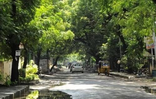 Green Street, Chennai: History, Location, Famous For
