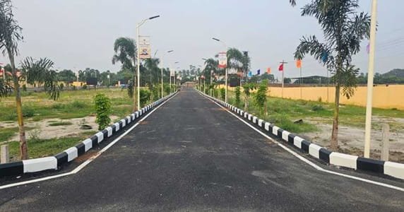 Pandian Street, Chennai: History, Location, Famous For
