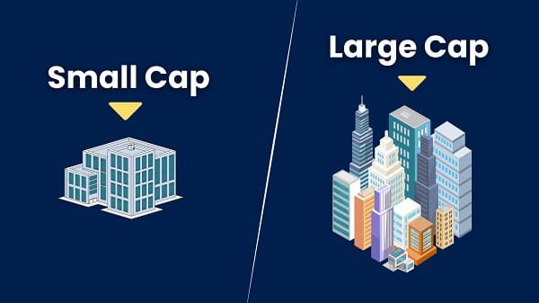 Large Cap Fund vs Small Cap Fund
